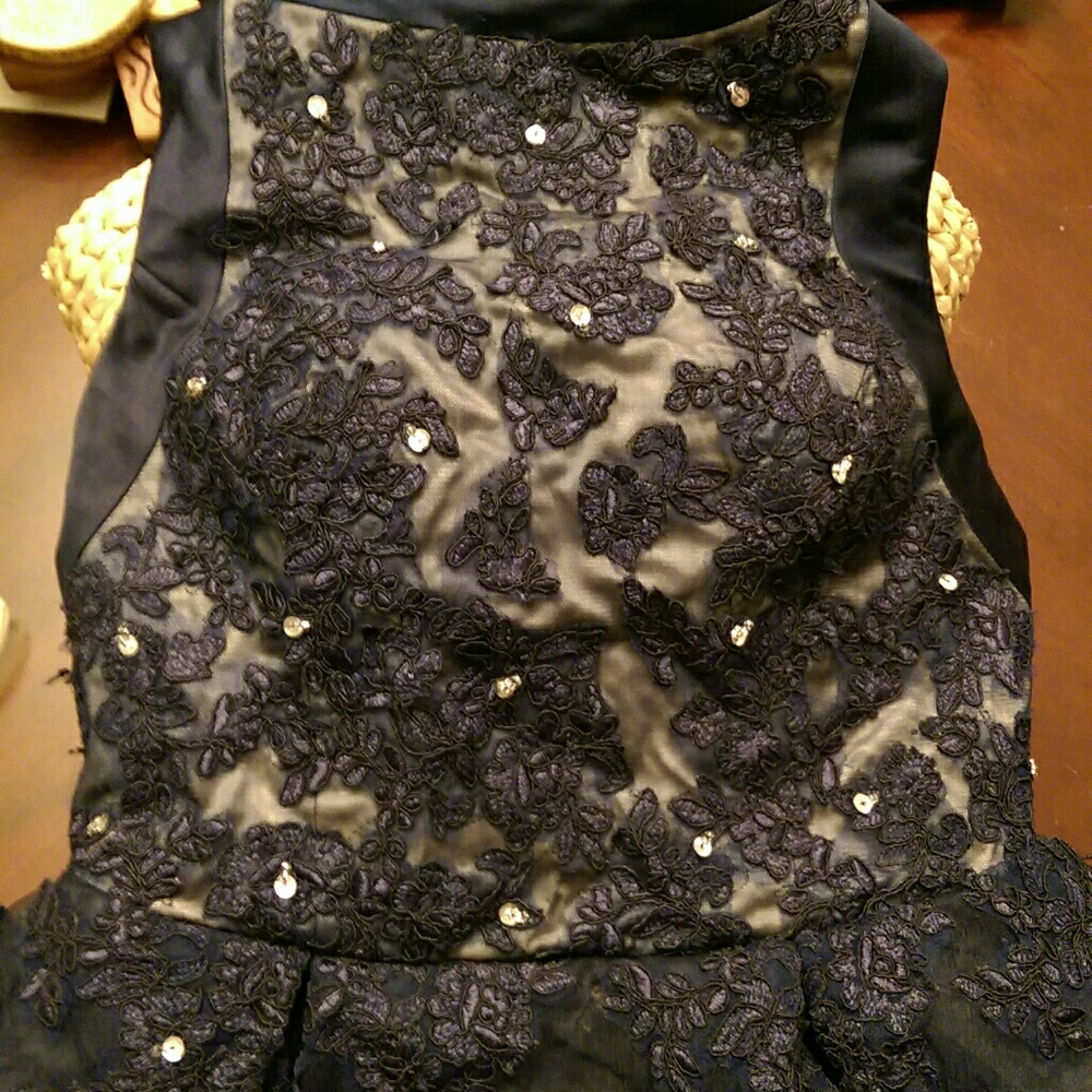 Navy Blue Ball Gown - Picture 6 of 8